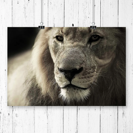 'Lion' Graphic Art