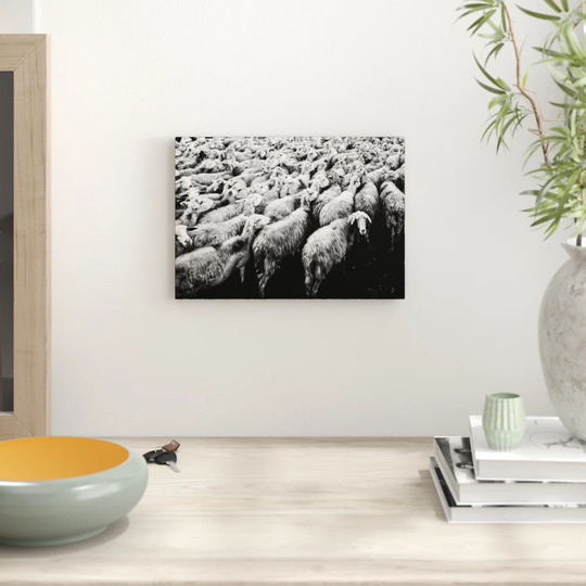 'Flock of Sheep' Photographic Print