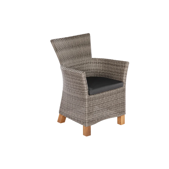 Ashmita 2 Seater Dining Set with Cushions