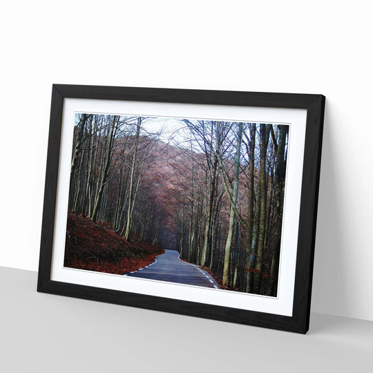 'Landscape Montseny Forest Wood Barcelona Spain' Framed Photographic Print