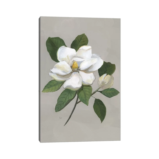 Botanical Magnolia by Nan - Painting Print on Canvas