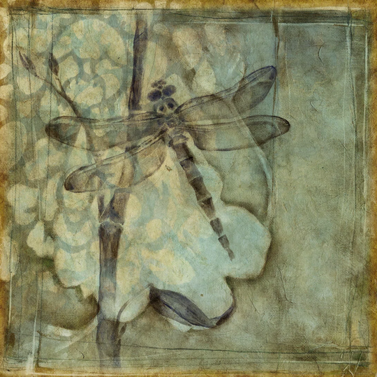Small Ethereal Wings III by Jennifer Goldberger - Wrapped Canvas Graphic Art