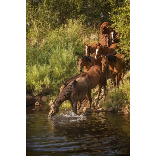 River Horses I by P.H. Burchett - Wrapped Canvas Photograph