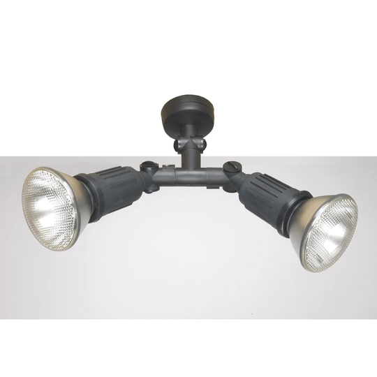 Westward Ho! 2 Light Ceiling Spotlight