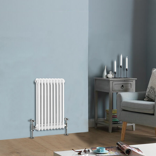 600 X 425 mm Traditional Double Column Horizontal Central Heating Cast Iron Rads White