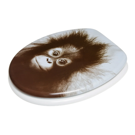 Abingdon Toilet Seat Sticker