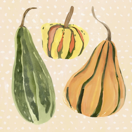 Decorative Gourd II by Annie Warren - Wrapped Canvas Painting