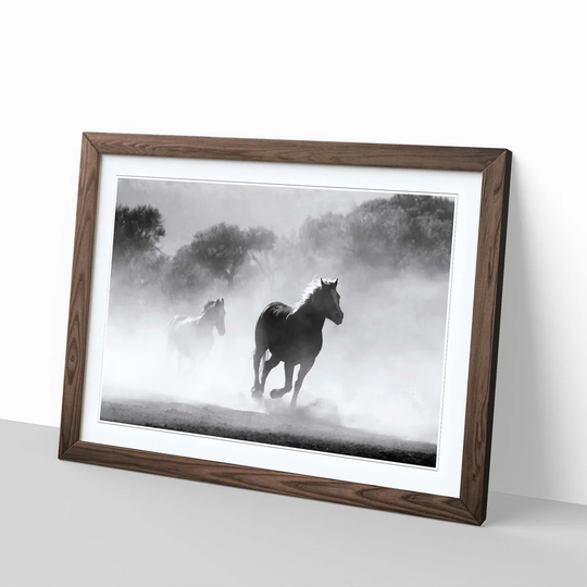 'Wild Running Horses' Framed Photographic Print
