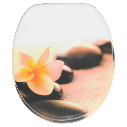 Beautiful Soft Close Elongated Toilet Seat