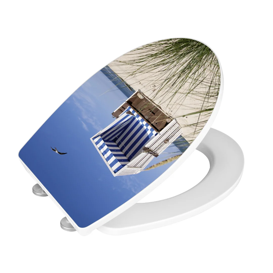 Clein Soft Close Elongated Toilet Seat