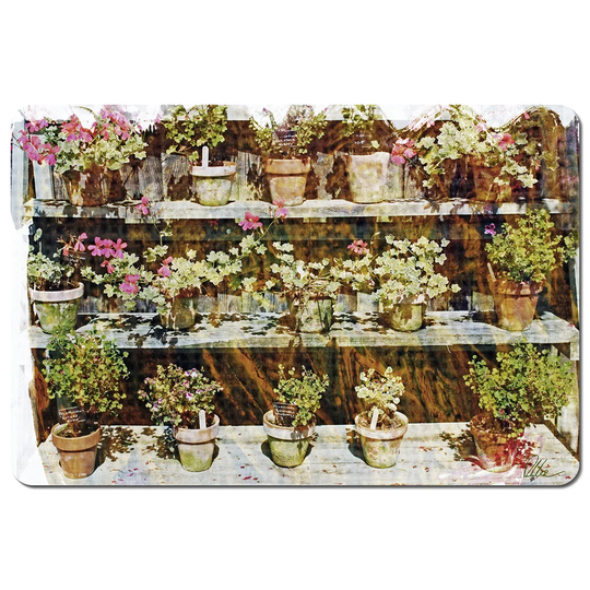 Roopville Plant Pots Cork Placemat