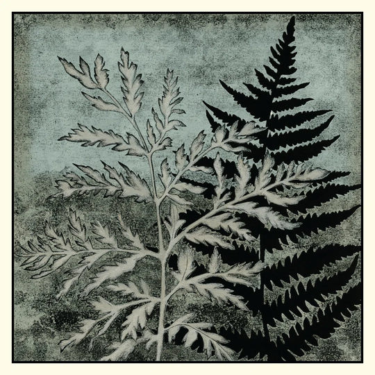 Illuminated Ferns IV by Megan Meagher - Wrapped Canvas Art Prints