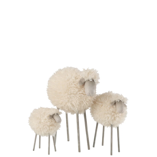 Sheep Forsman
