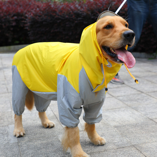 Dog raincoat, dog clothes, all-inclusive golden retriever four-legged poncho (yellow, m)