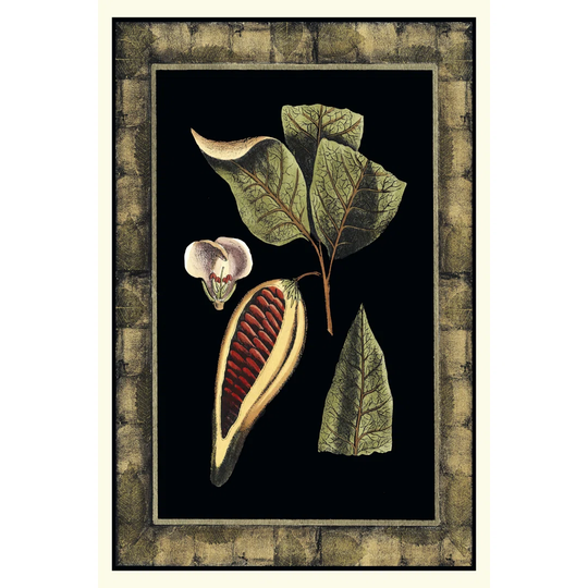 Tropical Bounty I - Wrapped Canvas Graphic Art