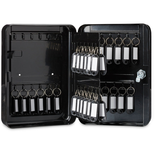 Metal Key Cabinet, Lockable, 48 Hooks with Key Tags, hwd 25x18x7.5 cm, Black - Relaxdays