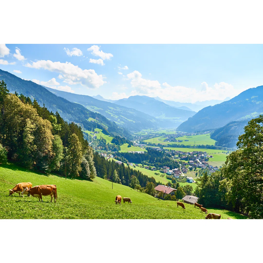 Vosges Mountains Landscape In Summer