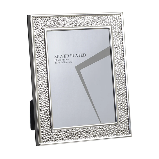 Canfield Silver Plated Metal Single Picture Frame in Silver