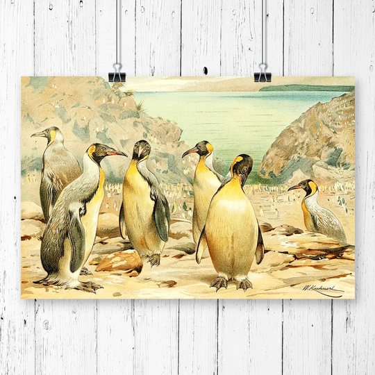 'Vintage Giant Penguins' by W Kuhnert Graphic Art