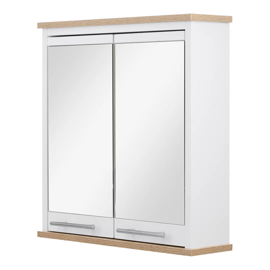 Jeri 52cm x 54cm Surface Mount Mirror Cabinet