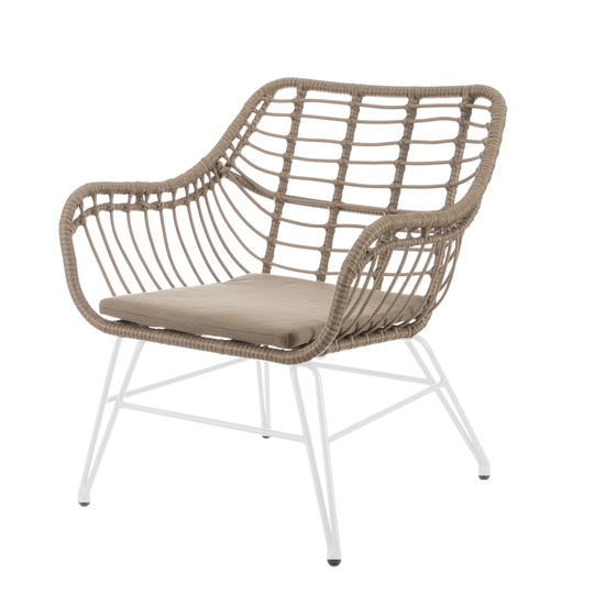 Idledale Garden Armchair with Cushion