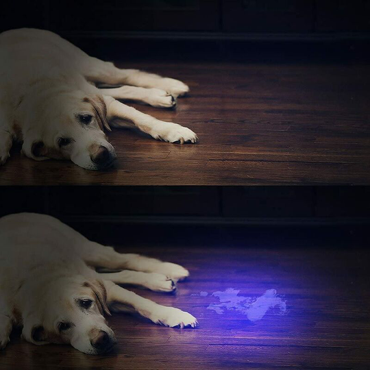 Modou - uv Black Light Flashlight with 51 LEDs, Pet Urine Detector for Dry Spots from Your Dogs, Cats and Rodents on Carpets, Curtains, Furniture