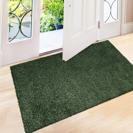 Laasya Solid Colour Mint Indoor / Outdoor Area Rug