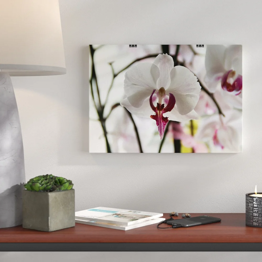 'White Orchid Flower' Graphic Art