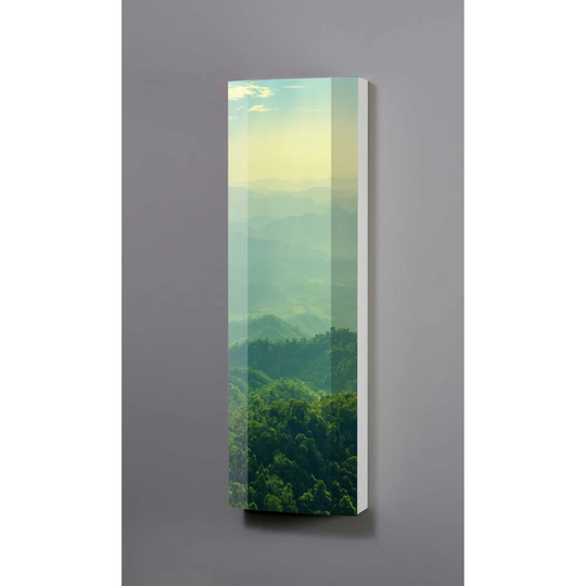 Ieshea 45Cm W x 145Cm H x 18Cm D Wall Mounted Bathroom Cabinet