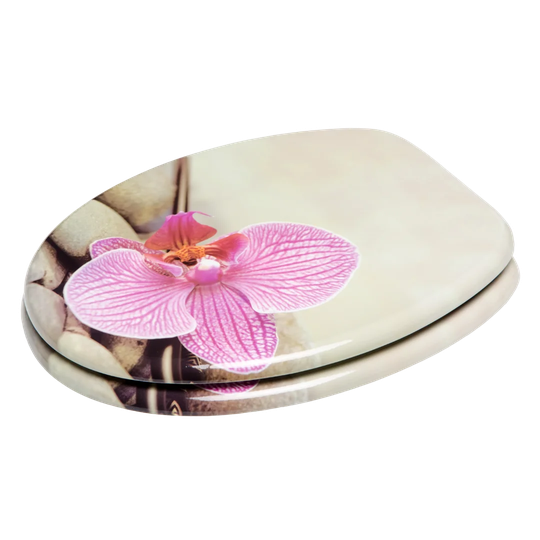 Wellness Elongated Toilet Seat