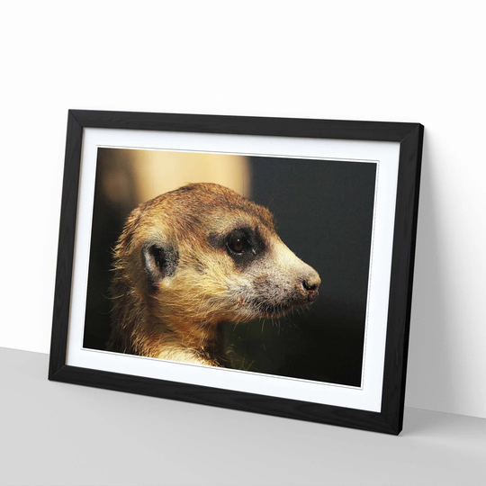 'Meerkat' Framed Photographic Print