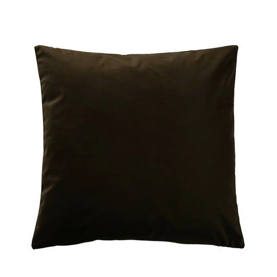 Carney Velvet Cushion Cover