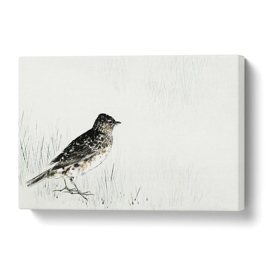 'Skylark' by Watanabe Seitei - Wrapped Canvas Painting Print