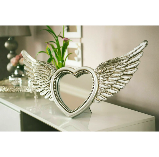 Acosta Novelty Resin Framed Accent Mirror in Silver