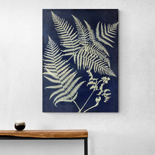 Eagle Fern By Anna Atkins - Abstract - Canvas Wall Art Framed Print - Various Sizes