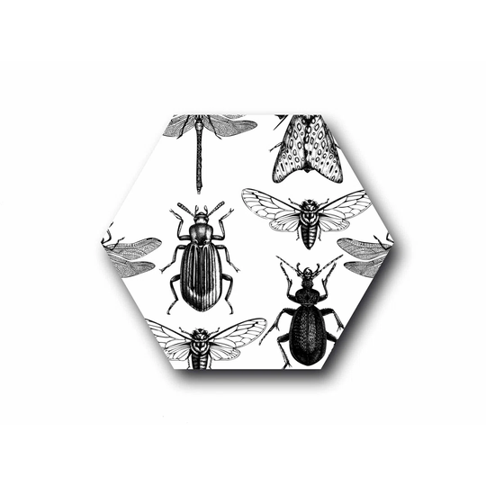 Wandbild Insect - Unframed Graphic Art on Metal