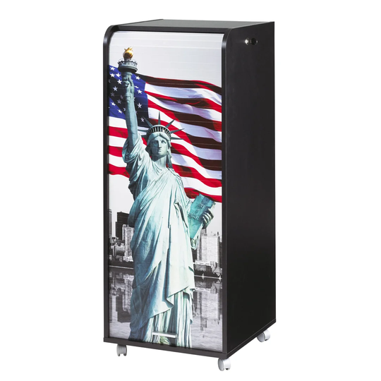 Graziella 1 -Door 3 -Drawer 2 -Shelf Filing Storage Cabinet
