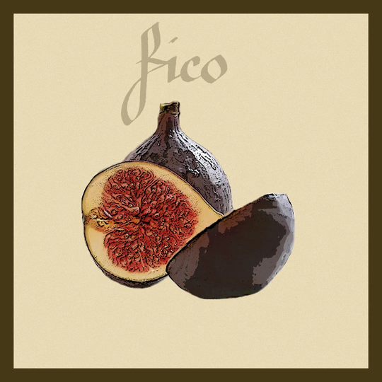 Italian Fruit VI - Wrapped Canvas Graphic Art