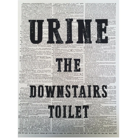 A3 Downstairs Toilet Dictionary Print - Quirky Wall Art - Urine Quote Funny Bathroom Wall Art