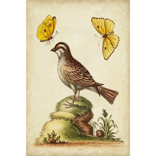Natural Habitat IV by George Edwards - Wrapped Canvas Art Prints