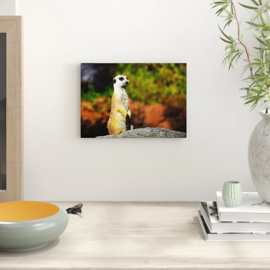 'Meerkat' Photographic Print