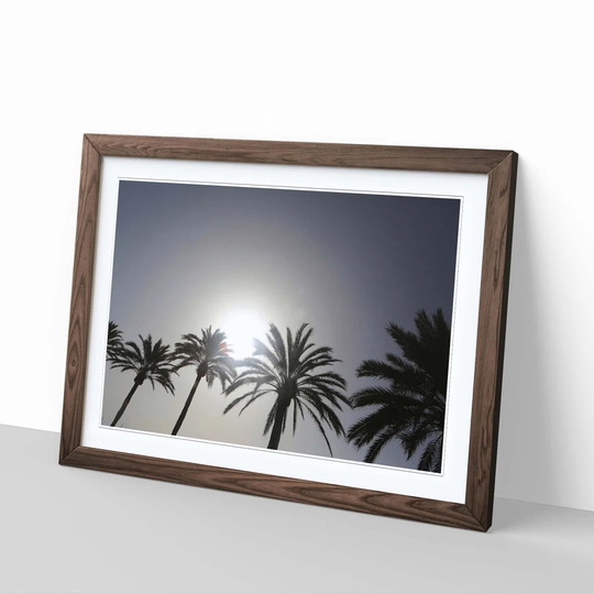 'Spanish Palm Trees' Framed Photographic Print