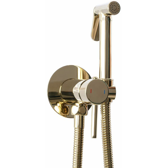 REA - Gold Colour Finishing Brass Bidet Tap Ceramic Mixer Expendable Handle 1.2m Hose