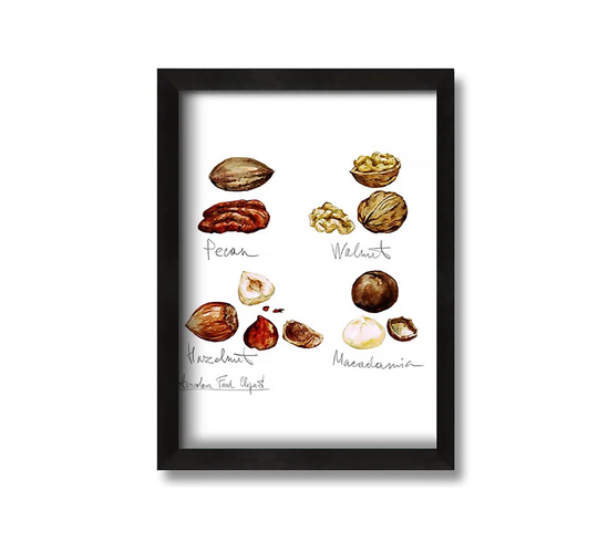 Nut Selection 1 - Picture Frame Painting on Canvas