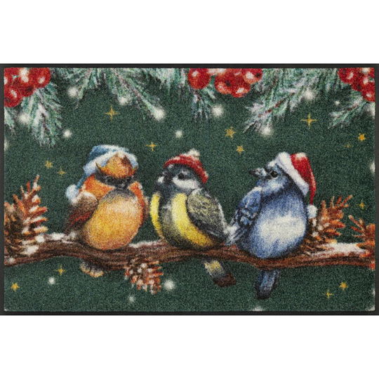 Magic Birds Doormat