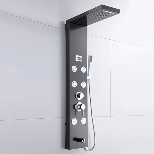 Locher Thermostatic Shower with Dual Shower Head