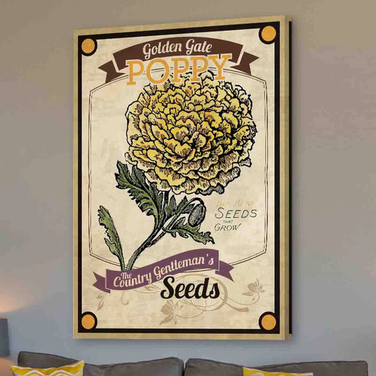 Flower Packet Poppy - Wrapped Canvas Advertisement Print