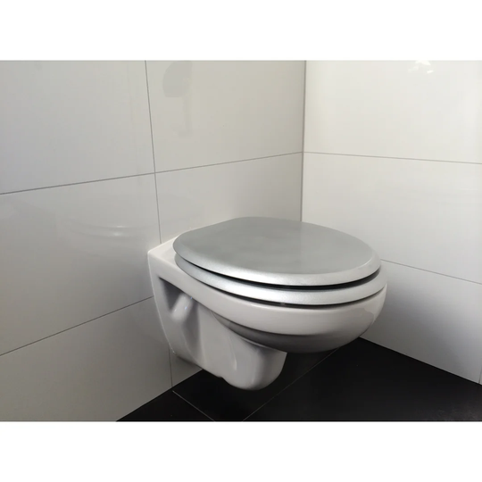 Fresh Blackberry Elongated Standard Toilet Seat