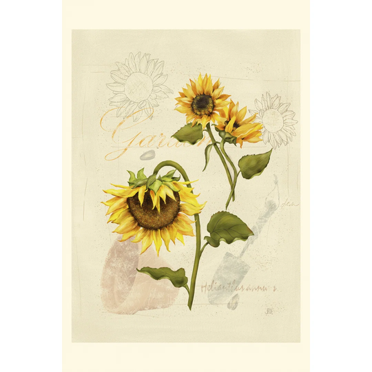 Romantic Sunflower I by Jade Reynolds - Wrapped Canvas Painting