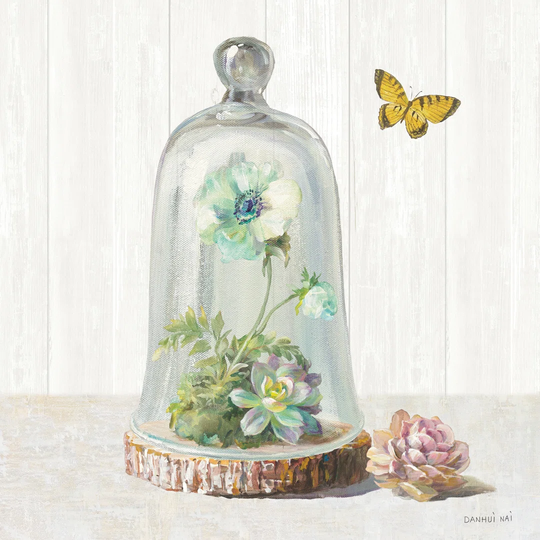 Succulent Garden II Sage by Danhui Nai Wrapped Canvas Painting Print